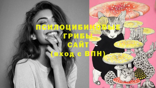 дживик Баксан