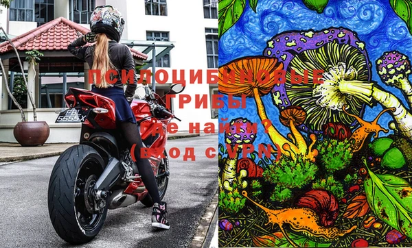 дживик Баксан