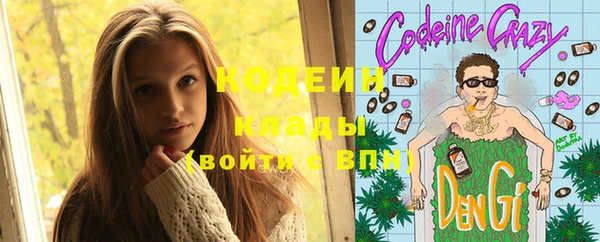 молекула духа Балахна