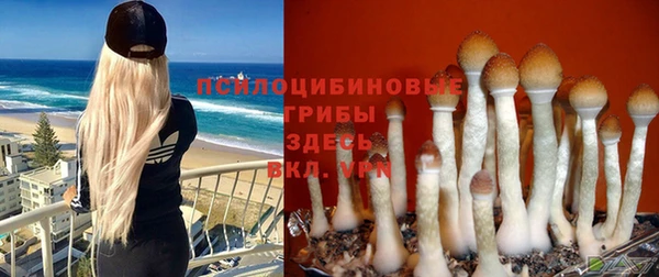 дживик Баксан